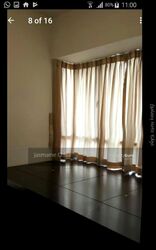 Robertson Edge (D9), Apartment #571748611